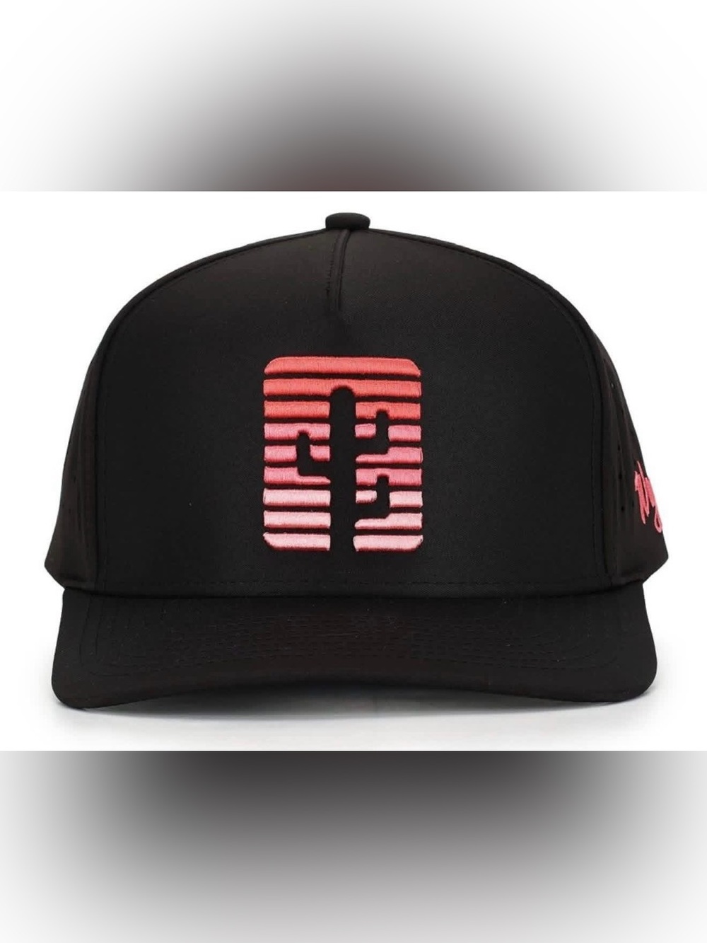 Black Hat with Pink Gradient Cactus Embroidery
